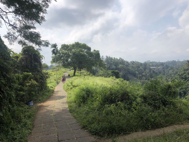 Campuhan Ridge Walk