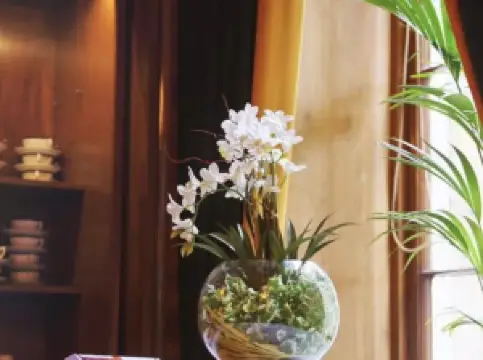 Sol y Sombra Tapas Bar