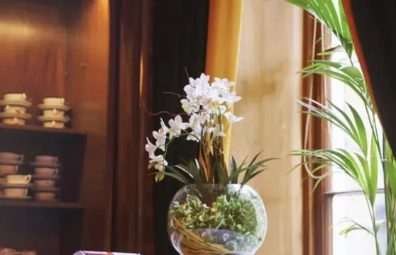 Sol y Sombra Tapas Bar