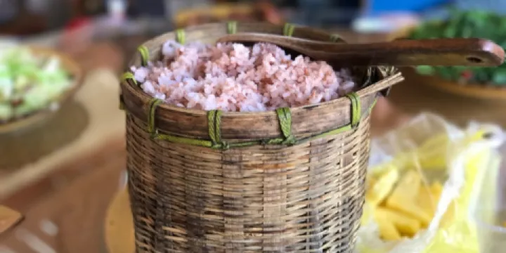 哈尼傳統飲食文化傳承中心