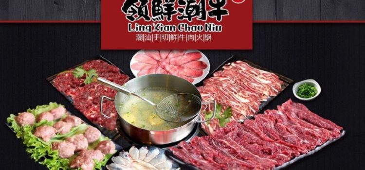 领鲜潮牛