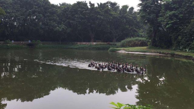 Montecasino Bird Sanctuary
