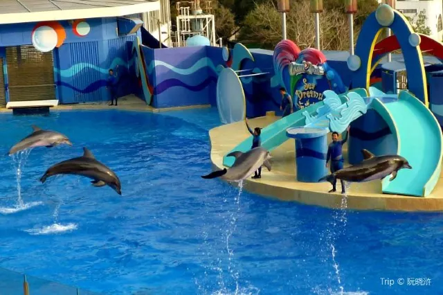 The Best Things to Do in Hong Kong