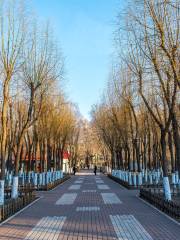 Taiping Park