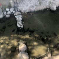 評論圖片 2