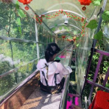 評論圖片 5