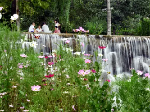 แมนซานฟรานซิสโก