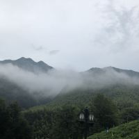 評論圖片 1