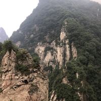 評論圖片 5