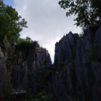 評論圖片 2