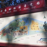評論圖片 2