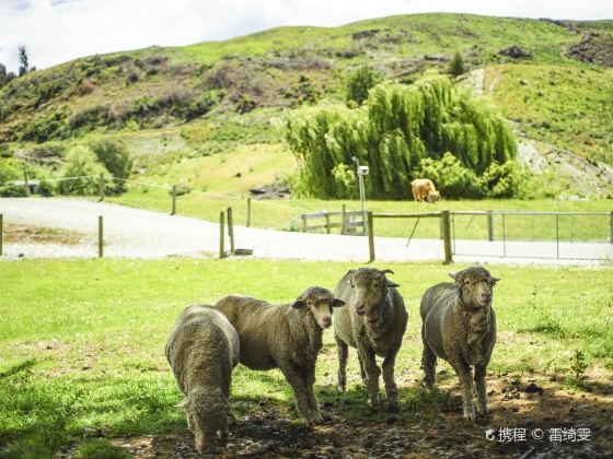 瓦爾特峰高原農場