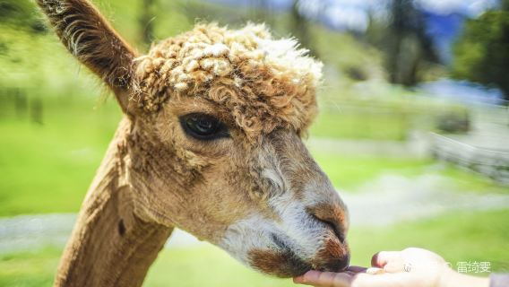 Kawarau GorgeTours
