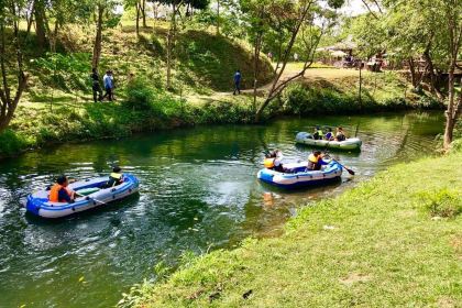 December Garden & Waterfall