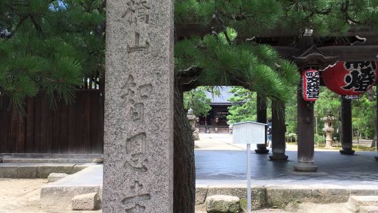 日本三景之一的天橋立智恩寺。因住在對橋樓、白天晚上都能去遊覽