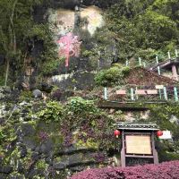 評論圖片 3