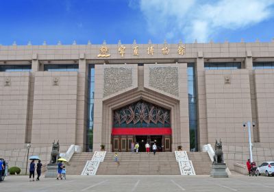 Museum Ningxia