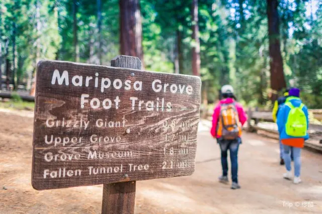 Top Things to Do When Visiting Yosemite National Park