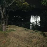 評論圖片 1
