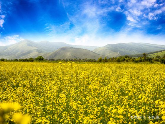 Hulunbuir Grasslands