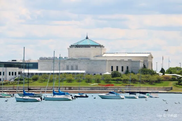 10 Tips to Help You Plan a Fantastic Trip to Shedd Aquarium, Chicago