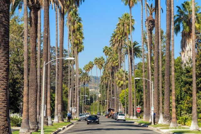 Culture Luxury And Fun In One Beverly Hills Travel Guide Travel Notes And Guides Trip Com Travel Guides Culture Luxury And Fun In One Beverly Hills Travel Guide Travel Notes And Guides Trip Com Travel Guides