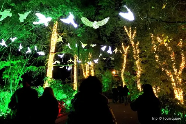 Everything you need to know before going to Los Angeles zoo