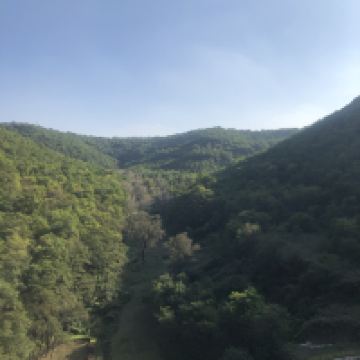 評論圖片 1