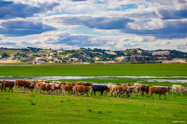 Ulan Butong Scenic Area - Weichang Bashang Grassland