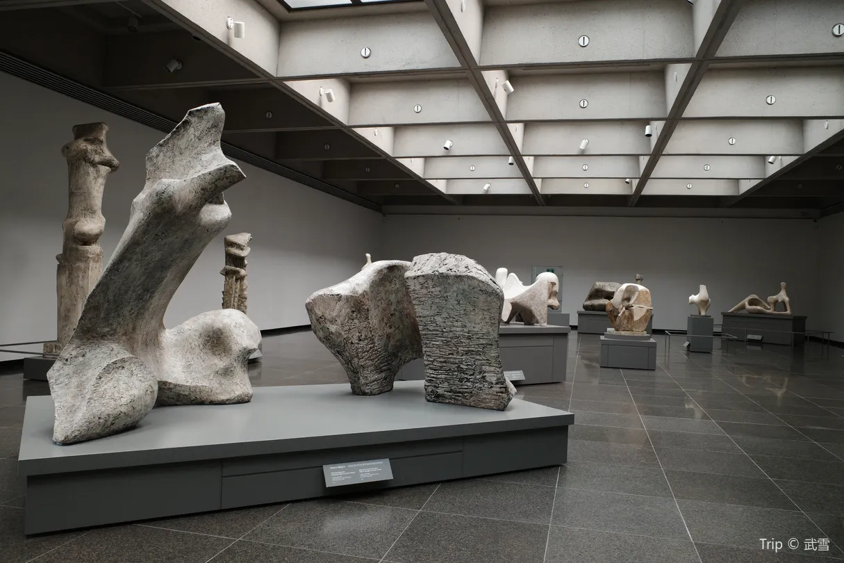 4_Art Gallery of Ontario