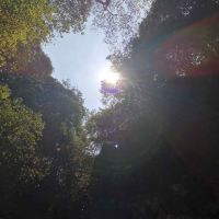 評論圖片 8