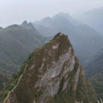 評論圖片 6