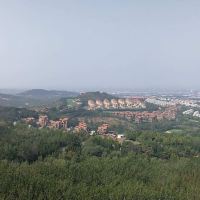 評論圖片 7