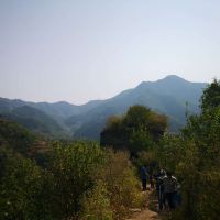 評論圖片 6