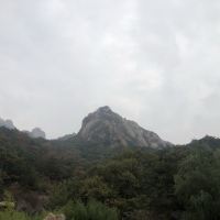 評論圖片 1