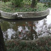 評論圖片 4
