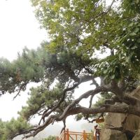 評論圖片 4
