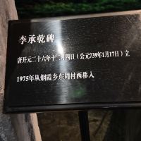 評論圖片 2