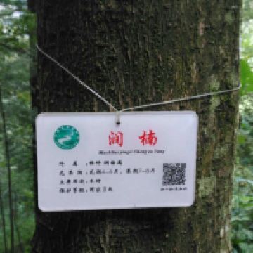 評論圖片 7