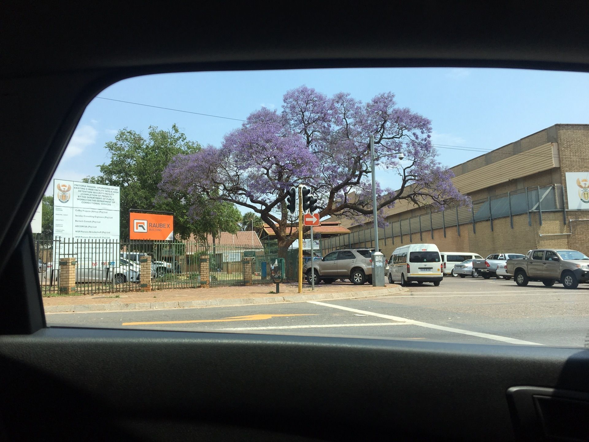 Jacaranda Avenue Travel Guidebook Must Visit Attractions In Pretoria Jacaranda Avenue Nearby Recommendation Trip Com Jacaranda Avenue Travel Guidebook Must Visit Attractions In Pretoria Jacaranda Avenue Nearby Recommendation Trip Com