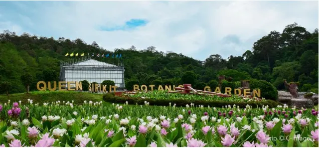 Best Free Things to Do In NYC From Museums to Attractions