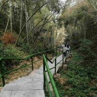 評論圖片 2