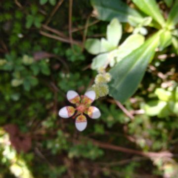 評論圖片 2