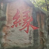 評論圖片 1