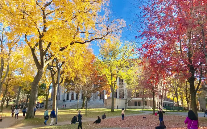 Fall Viewing Attractions