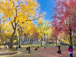 Migliori 3 Attrazioni per la visione autunnale a Massachusetts
