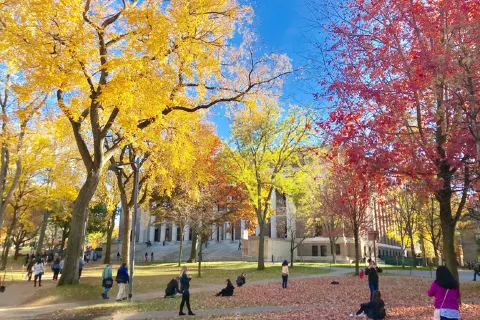 Harvard University