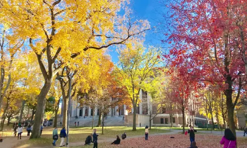 Harvard University