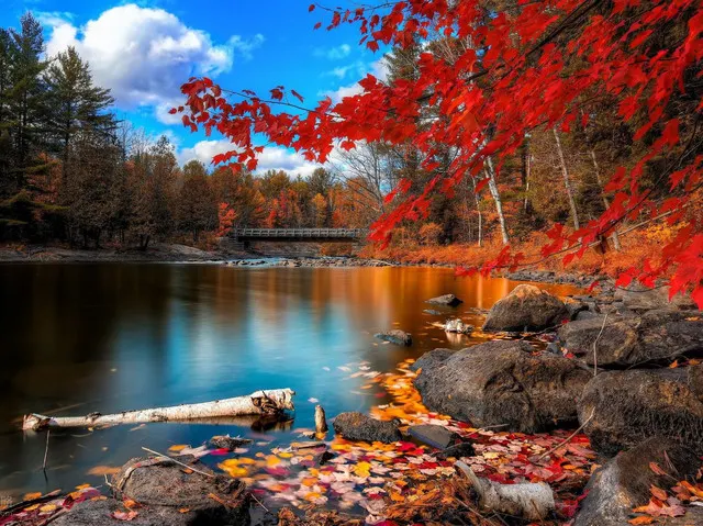 Best Canadian Destinations for Fall Foliage notes guides – Trip.com travel guides