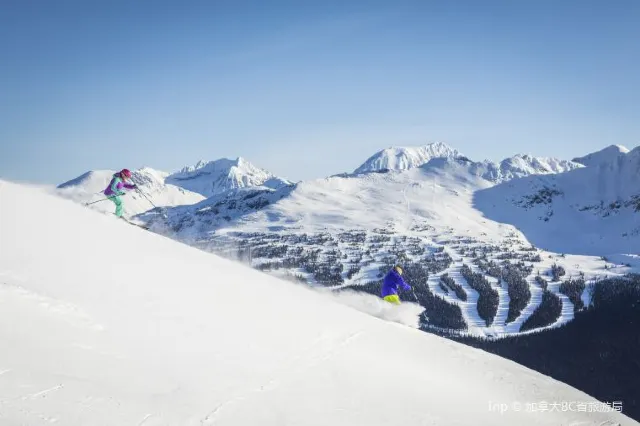 又是一年滑雪季!海外熱門滑雪地大盤點